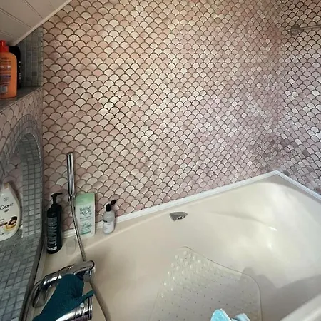 Villa Bellevue Avec Piscine Agos-Vidalos